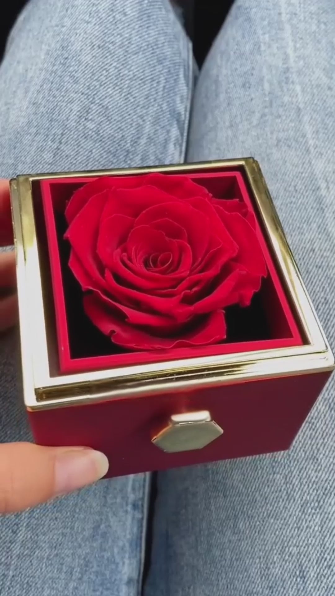 קופסת ורד אדומה עם שרשרת – רגע אחד שנשאר